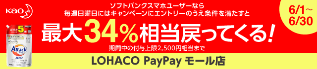 最大34％相当戻ってくる！LOHACO PayPayモール店
