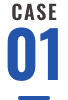 CASE 01