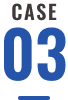 CASE 03