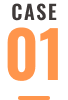 CASE 01