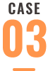 CASE 03